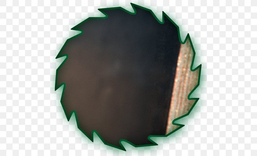 Circle Leaf, PNG, 500x500px, Leaf Download Free