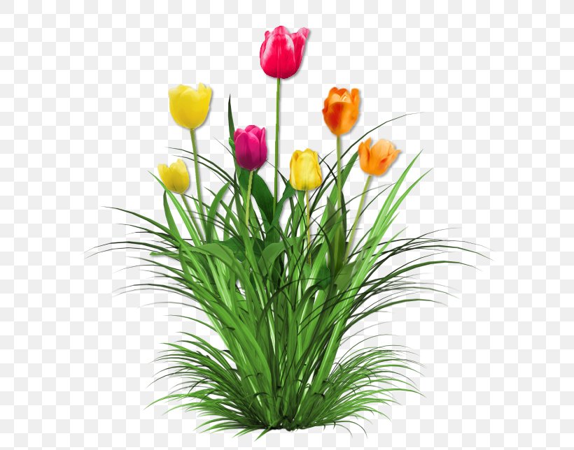 Tulip Cut Flowers Floral Design, PNG, 622x644px, Tulip, Artificial Flower, Cut Flowers, Drawing, Floral Design Download Free