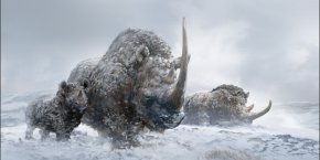 Rhino - Prehistory Elasmotherium Prehistoric Mammal Woolly Rhinoceros Animal PNG