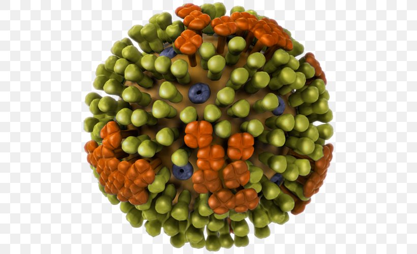 Influenza A Virus Subtype H1N1 Avian Influenza Influenzavirus B, PNG, 500x500px, Influenza A Virus Subtype H1n1, Avian Influenza, Food, Fruit, Hemagglutinin Download Free