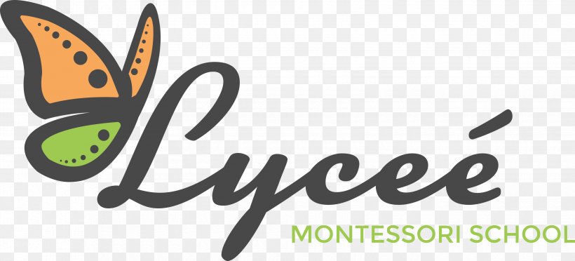 Montessori Education Learning Lycee Montessori School, PNG, 3300x1498px, Montessori Education, Brand, Butterfly, Child, Cover Letter Download Free