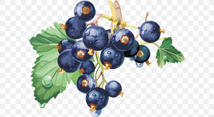 Blackcurrant Macaron Varenye Juice Redcurrant, PNG, 600x450px, Blackcurrant, Berry, Bilberry, Blueberry, Blueberry Tea Download Free