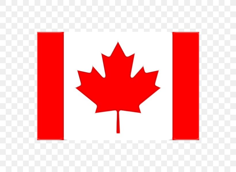 Canada Maple Leaf, PNG, 570x600px, Canada Day, Canada, Canadian Flag Fridge Magnet, Carmine, Coquelicot Download Free