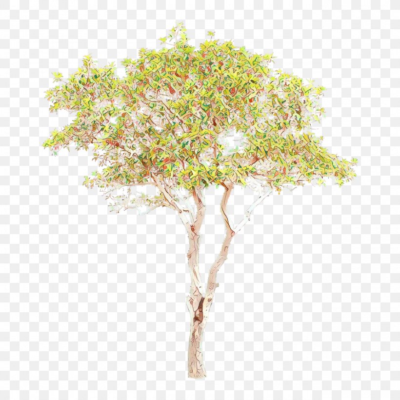 Christmas Tree Branch, PNG, 1280x1280px, Tree, Branch, Christmas Tree, Devilwood, Flower Download Free