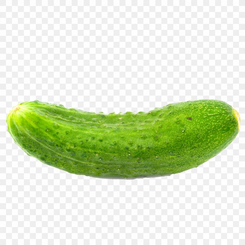 Cucumber Vegetable Food Pumpkin, PNG, 2953x2953px, Cucumber, Auglis, Chinese Broccoli, Cucumber Gourd And Melon Family, Cucumis Download Free