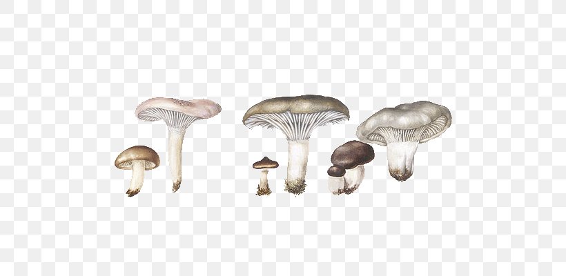 Mushroom Hot Pot Umbrella Fungus, PNG, 700x400px, Mushroom, Animation, Cartoon, Drawing, Food Download Free