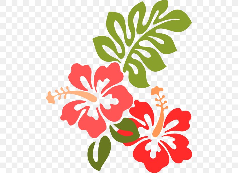 Clip Art Image Free Content, PNG, 504x596px, Hawaiian Hibiscus, Art, Botany, Drawing, Flower Download Free