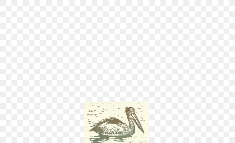 Goose Water Bird Cygnini Anatidae, PNG, 500x500px, Goose, Anatidae, Artist, Beak, Beige Download Free