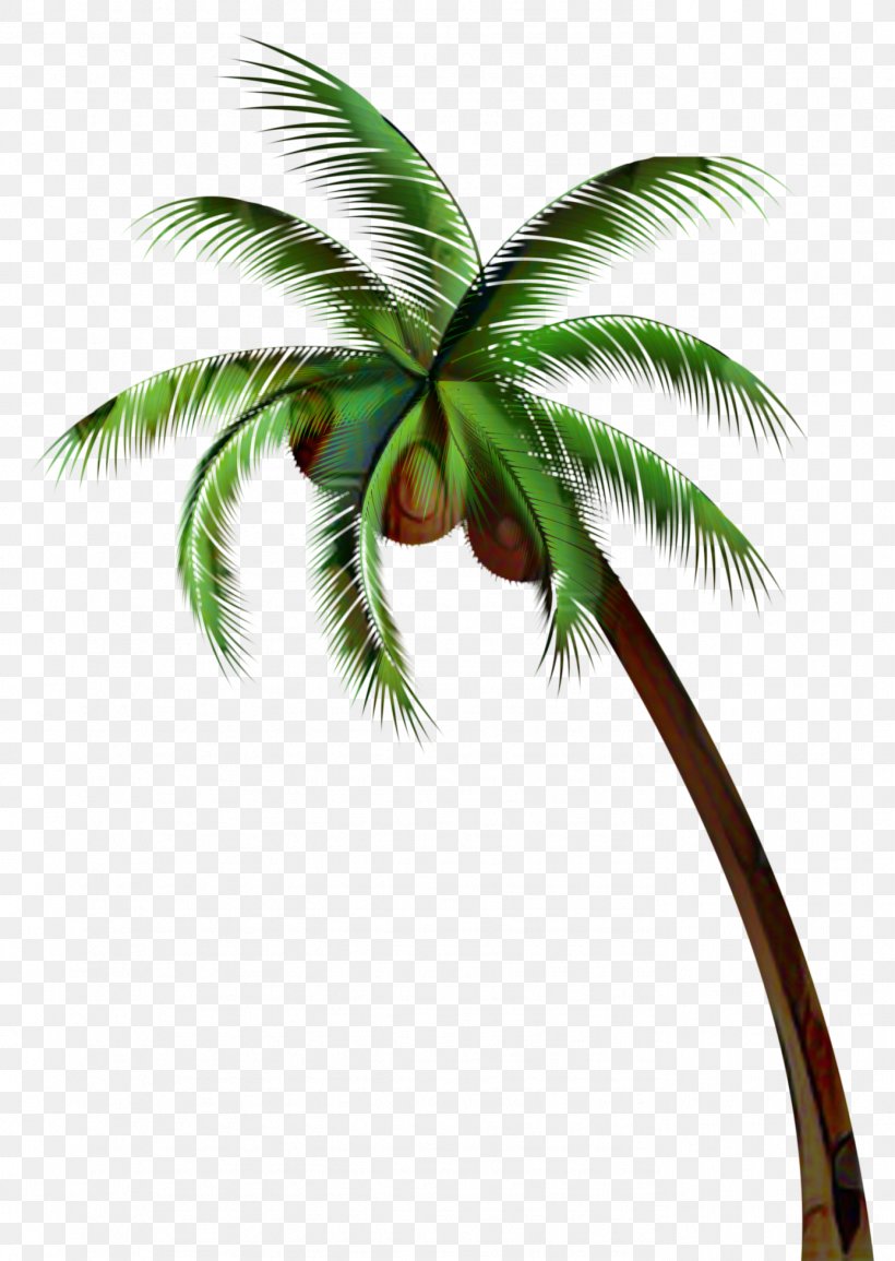 Date Tree Leaf, PNG, 1387x1954px, Asian Palmyra Palm, Arecales, Attalea Speciosa, Borassus, Coconut Download Free