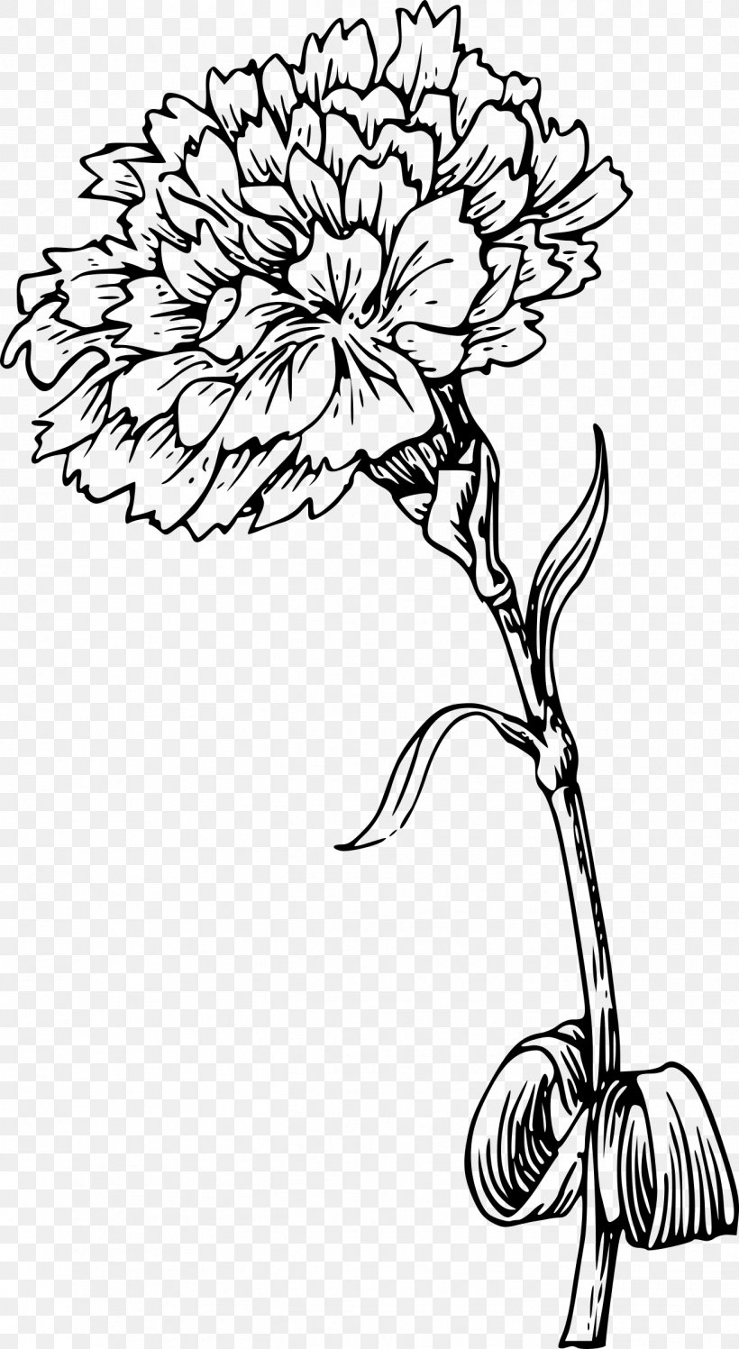 Carnation Flower Tattoo Clip Art, PNG, 1314x2400px, Carnation, Artwork,  Black And White, Branch, Chrysanths Download Free