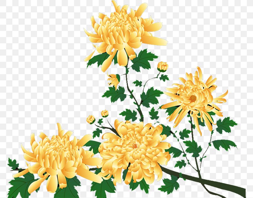 Dahlia Chrysanthemum Floral Design Cut Flowers, PNG, 776x641px, Dahlia, Chrysanthemum, Chrysanths, Cut Flowers, Daisy Family Download Free