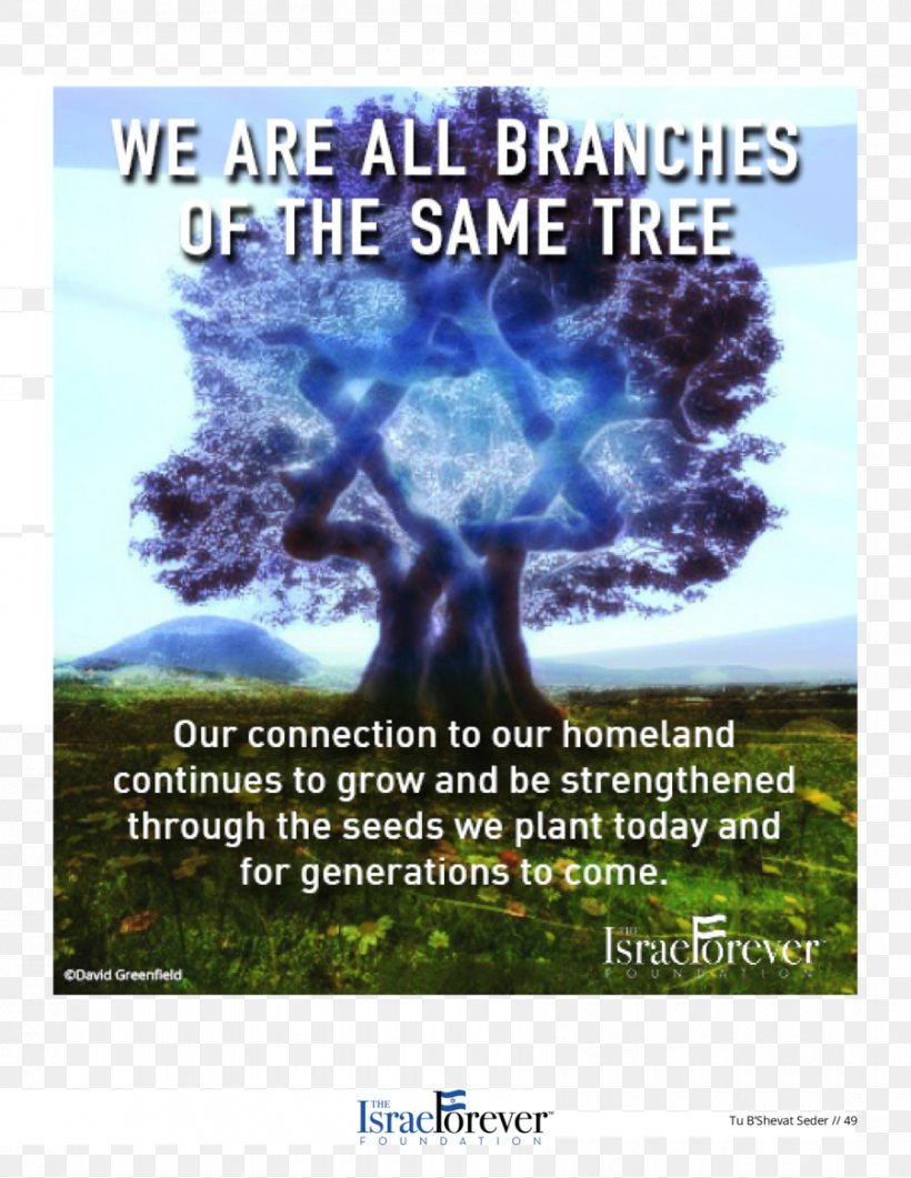 Tu B'Shevat Jewish People Israel Judaism, PNG, 900x1165px, Jewish People, Advertising, Afforestation, Energy, Grass Download Free