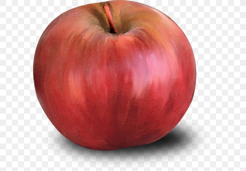 Apple, PNG, 600x572px, Apple, Drawing, Food, Fruit, Gratis Download Free