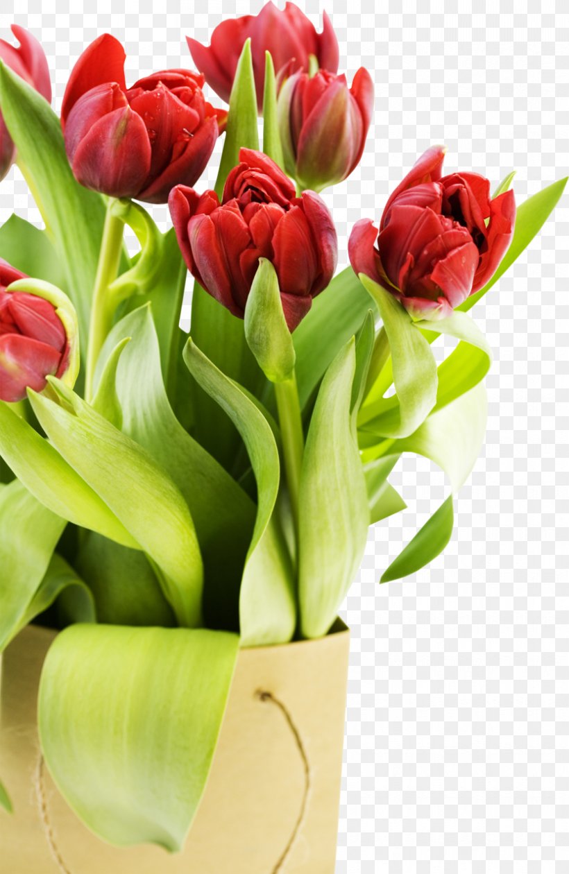 Desktop Wallpaper High-definition Video Flower 1080p Display Resolution, PNG, 833x1280px, Highdefinition Video, Artificial Flower, Cut Flowers, Desktop Environment, Display Resolution Download Free