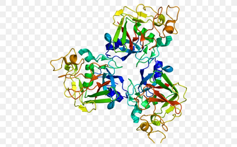 FCN1 Fibrinogen Protein Ficolin Single-nucleotide Polymorphism, PNG, 500x510px, Watercolor, Cartoon, Flower, Frame, Heart Download Free