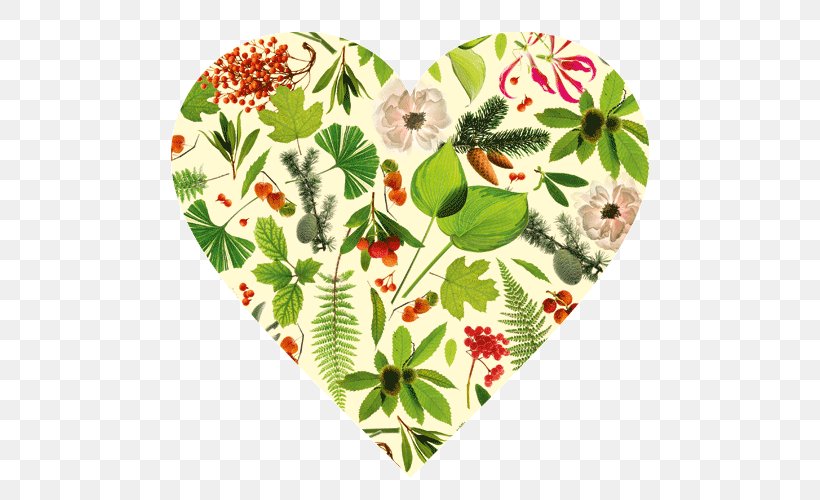 Green Leaf Background, PNG, 500x500px, Petal, Anthurium, Bangle, Christmas Day, Floral Design Download Free