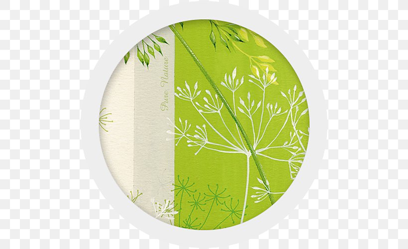 Leaf, PNG, 500x500px, Leaf, Dishware, Green, Plate, Tree Download Free