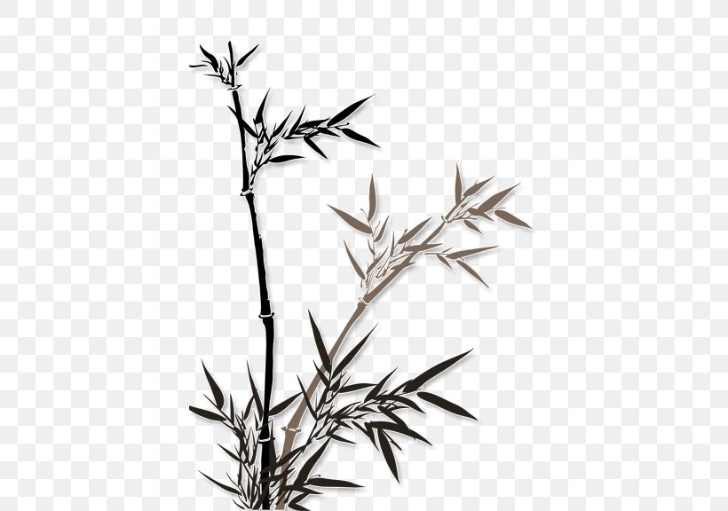 Bamboo Euclidean Vector Clip Art, PNG, 576x576px, Bamboo, Bamboe, Bamboo Painting, Black And White, Branch Download Free