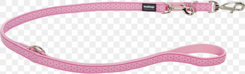 Leash Pink M RTV Pink, PNG, 3000x914px, Leash, Fashion Accessory, Magenta, Pink, Pink M Download Free