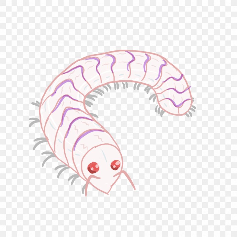 Worm Insect Pink M Mouth, PNG, 894x894px, Worm, Insect, Invertebrate, Mouth, Organism Download Free