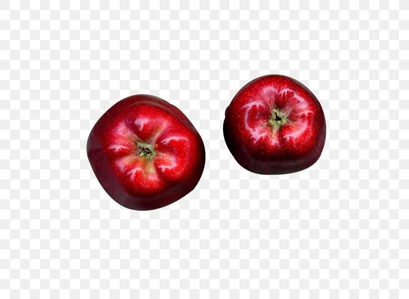 Apple Food Fruit Puch Bei Weiz Homo Sapiens, PNG, 600x600px, Apple, Accessory Fruit, Apple A Day Keeps The Doctor Away, Apples, Detoxification Download Free