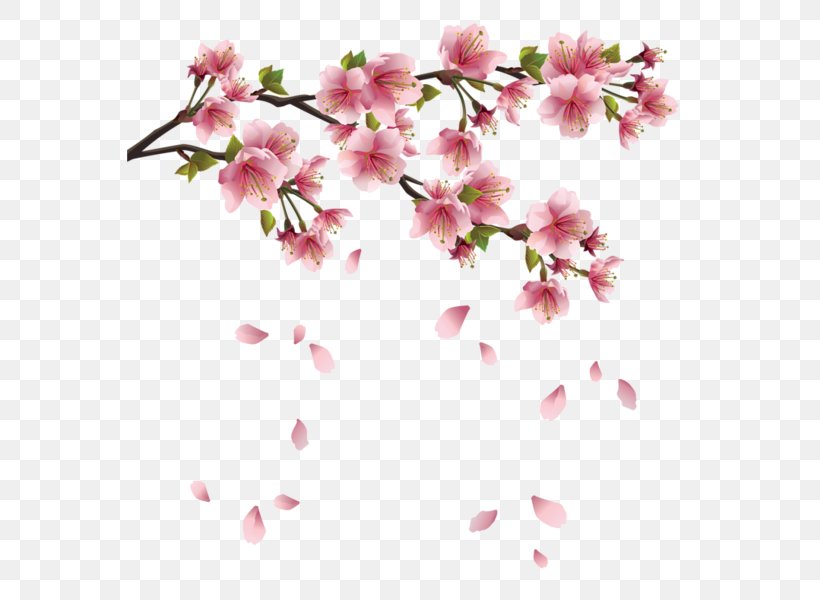 Flower Spring Clip Art, PNG, 566x600px, Flower, Azalea, Blossom, Branch, Cherry Blossom Download Free