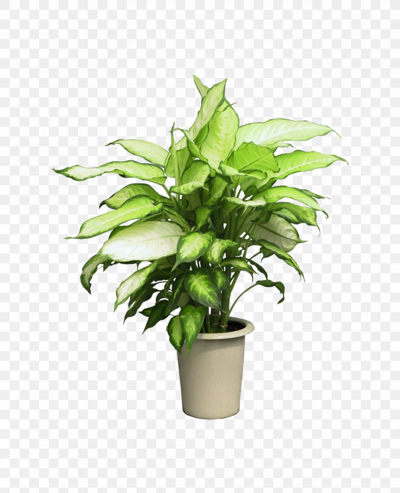Flowerpot Houseplant Clip Art, PNG, 975x1203px, Flowerpot, Ceramic, Evergreen, Flower, Houseplant Download Free