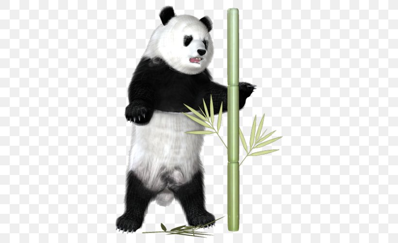 Giant Panda Pandas And Bamboo Animal, PNG, 382x500px, Giant Panda, Animal, Bamboo Zen Spa, Bear, Blog Download Free