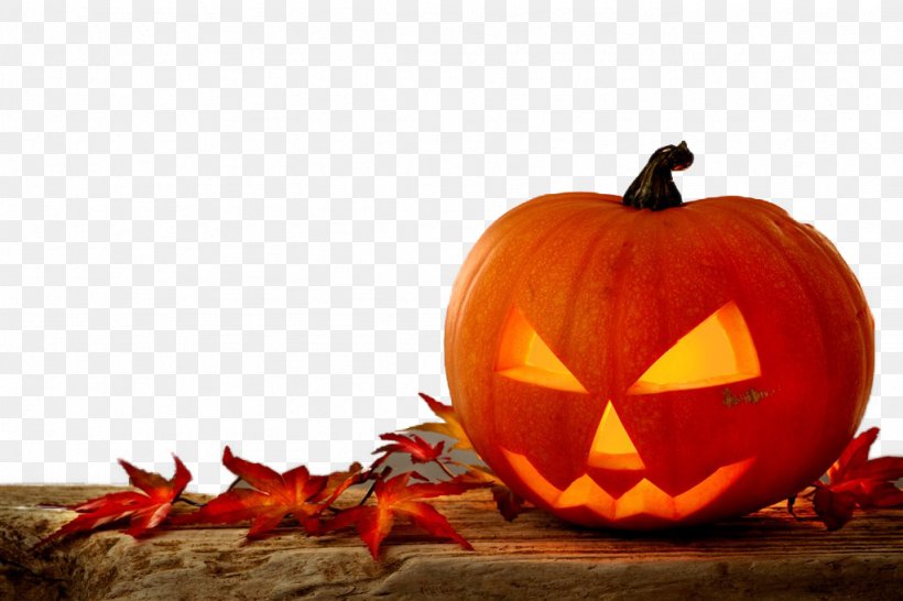 Halloween Costume Trick-or-treating Party, PNG, 1024x682px, Halloween, Bonfire, Bonfire Night, Calabaza, Child Download Free