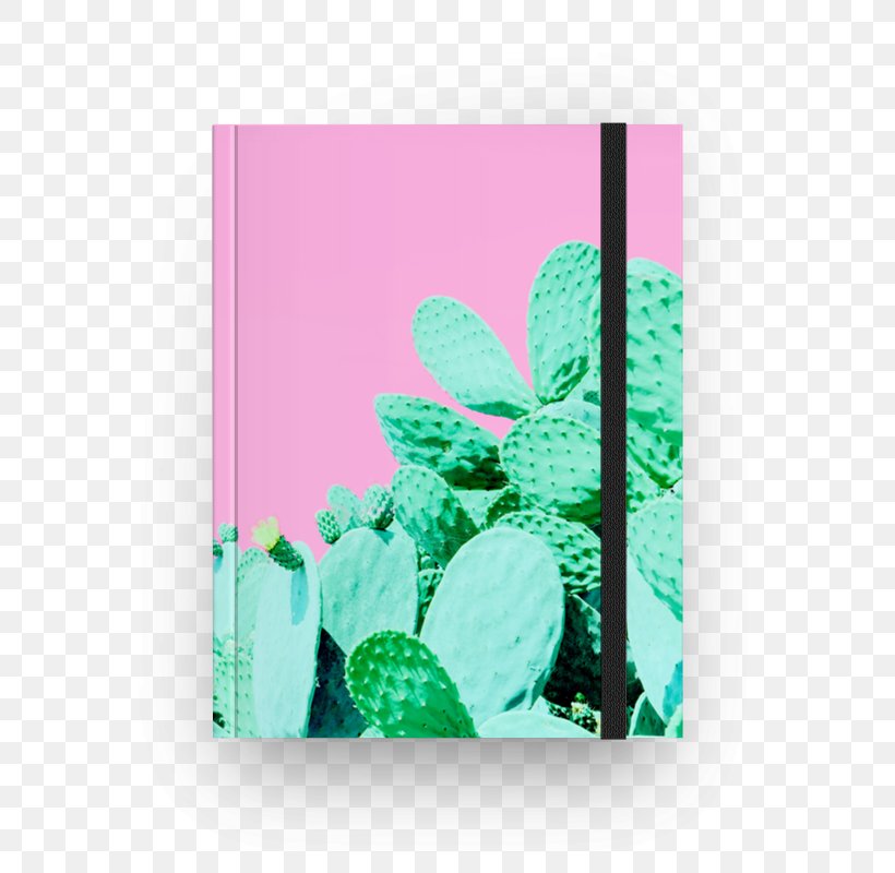 Paper Cactaceae Towel Cactus Garden Desert, PNG, 800x800px, Paper, Art, Black, Cactaceae, Cactus Garden Download Free