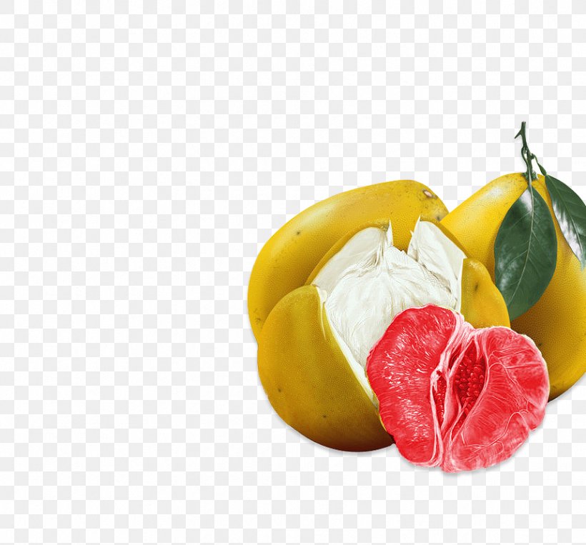 Pomelo Grapefruit, PNG, 859x800px, Pomelo, Autumn, Citrus, Diet Food, Flat Design Download Free