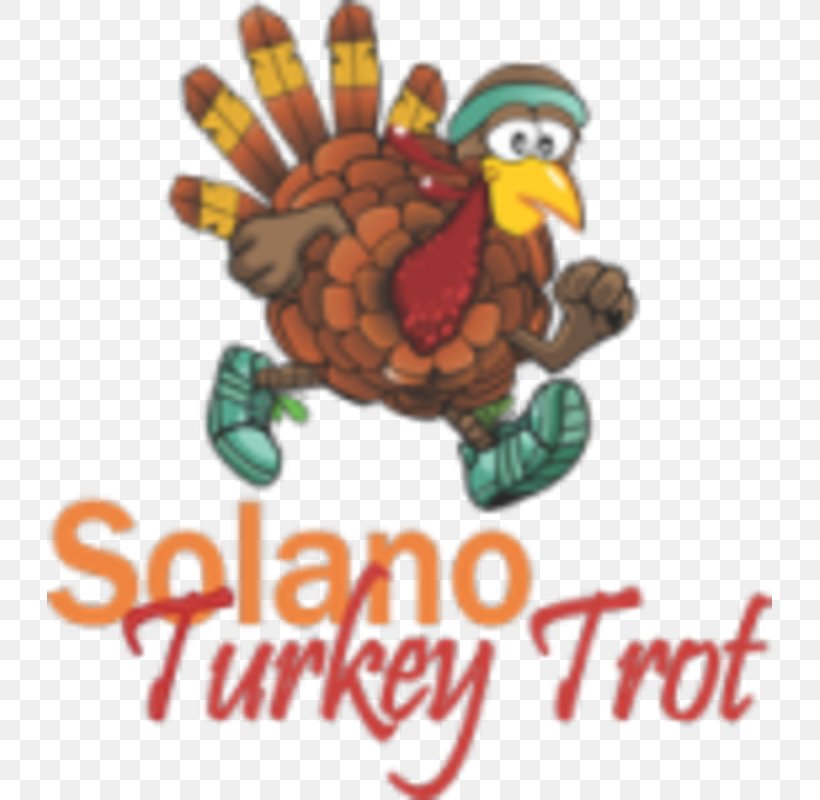 Solano Community College Bay Point Turkey Trot Clip Art, PNG, 725x800px, Solano Community College, Beak, California, College, Community Download Free