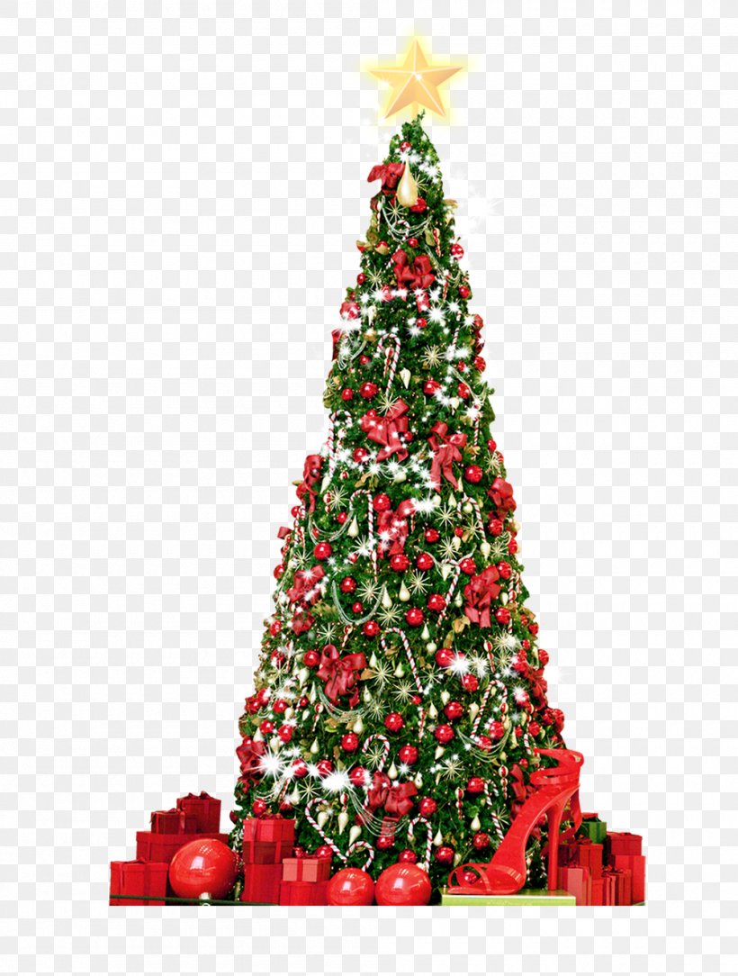 Christmas Tree Gift, PNG, 1000x1323px, Christmas Tree, Christmas, Christmas Decoration, Christmas Ornament, Conifer Download Free