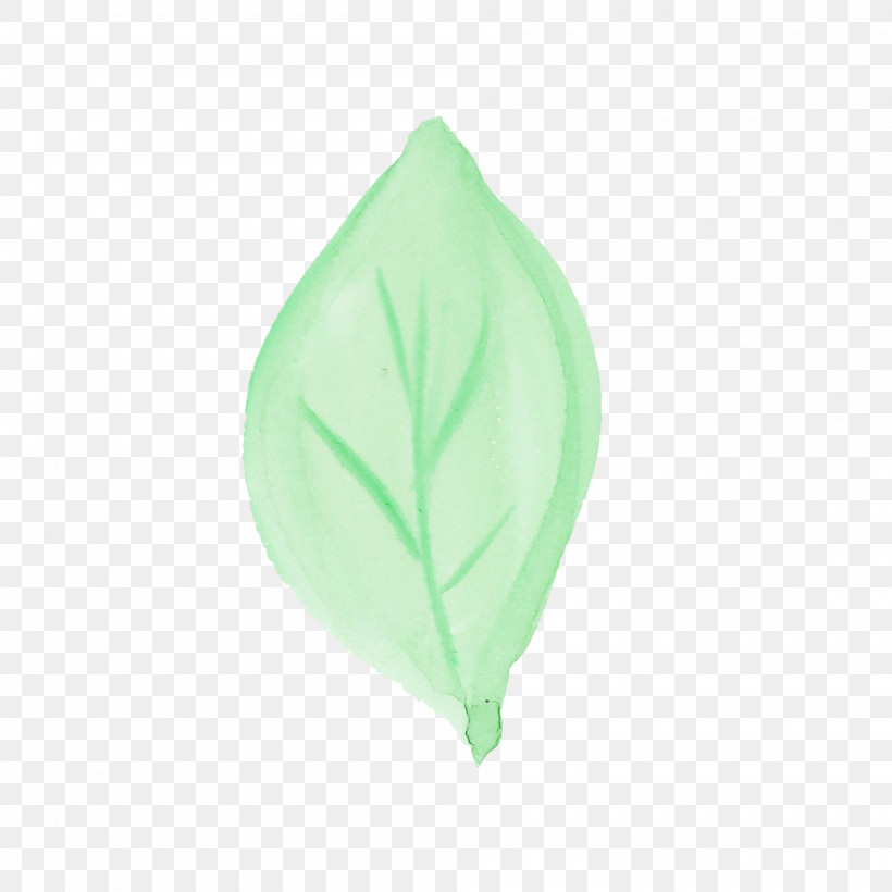 Green Leaf Plant Petal Morning Glory, PNG, 2000x2000px, Watercolor Leaf, Green, Leaf, Logo, Morning Glory Download Free
