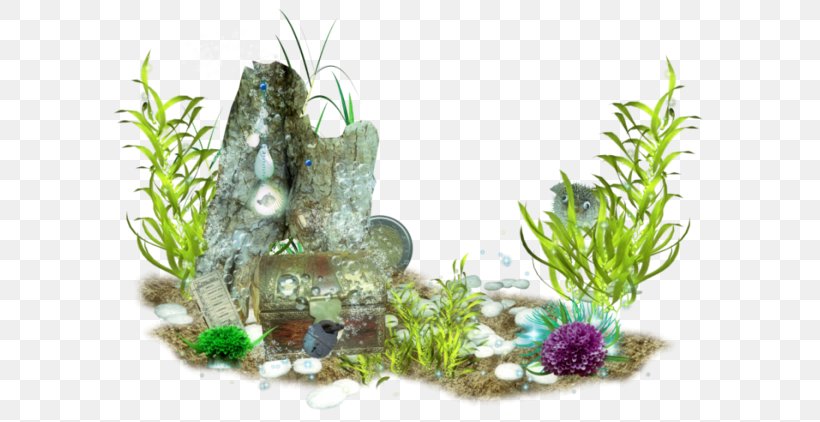 Sea Underwater Clip Art, PNG, 600x422px, Sea, Algae, Aquarium, Aquarium Decor, Aquatic Plant Download Free