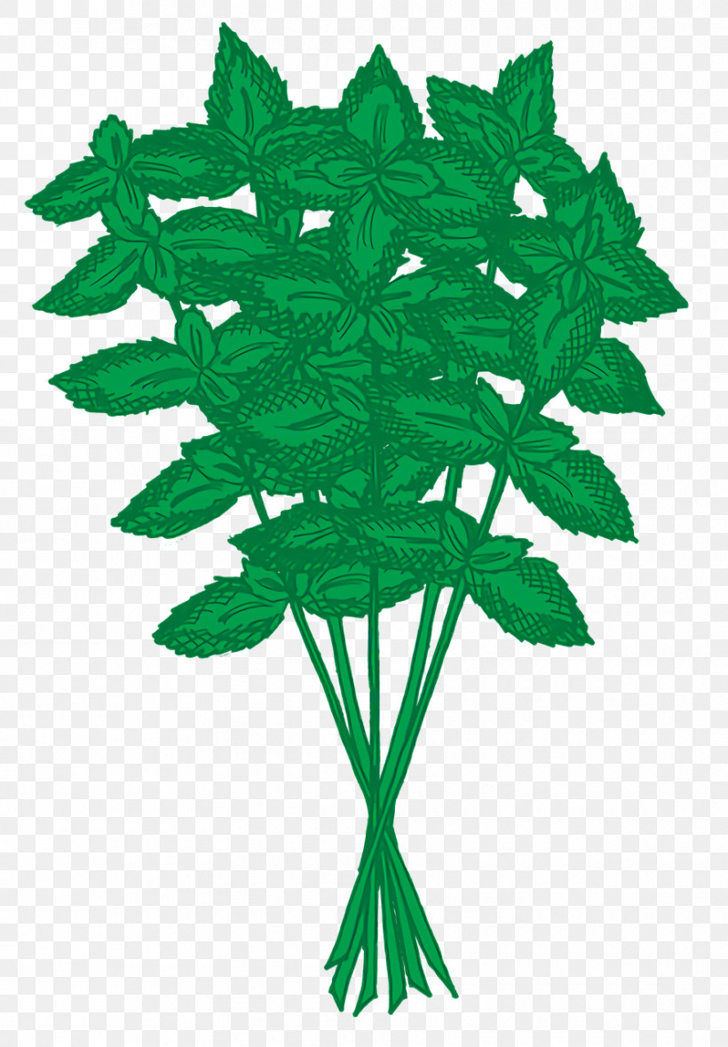 Basil Herb Thai Basil Fines Herbes Herbaceous Plant, PNG, 890x1280px, Basil, Fines Herbes, Health, Herb, Herbaceous Plant Download Free