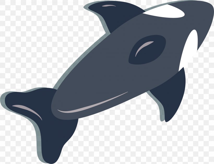 Chilean Dolphin Clip Art, PNG, 2269x1739px, Dolphin, Blue, Chilean Dolphin, Designer, Fish Download Free