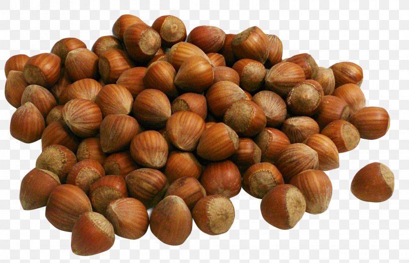 Hazelnut Denominacixf3n De Origen Nutella, PNG, 1420x914px, Hazelnut, Caramel, Chufa De Valencia, Denominacixf3n De Origen, Dried Fruit Download Free