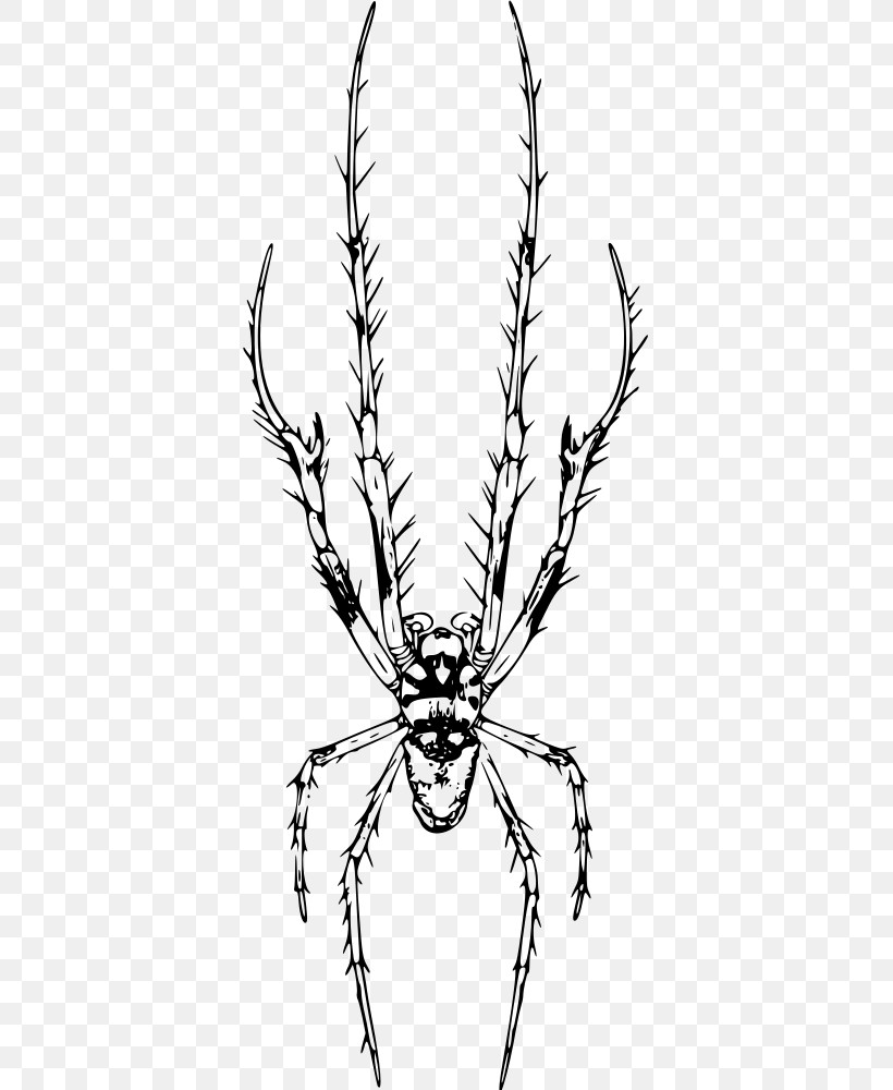 Head Line Art Line Branch Insect, PNG, 373x1000px, Head, Blackandwhite, Branch, Coloring Book, Insect Download Free