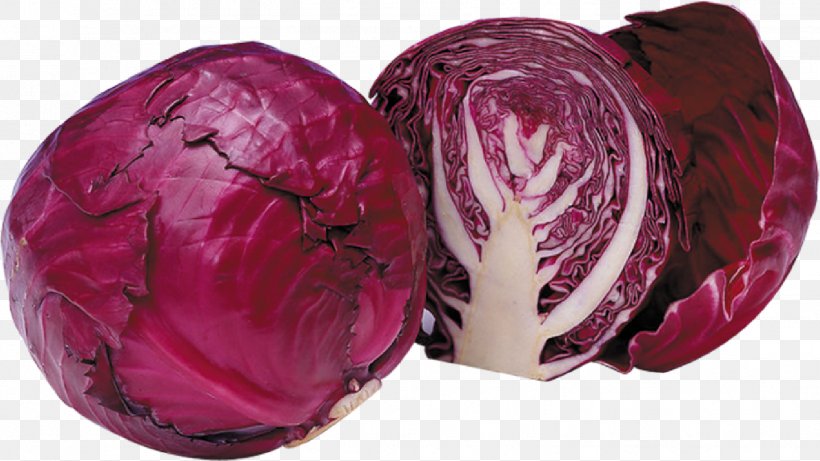 Red Cabbage Broccoli Brussels Sprout Chinese Cuisine, PNG, 1442x812px, Red Cabbage, Brassica Oleracea, Broccoli, Brussels Sprout, Cabbage Download Free