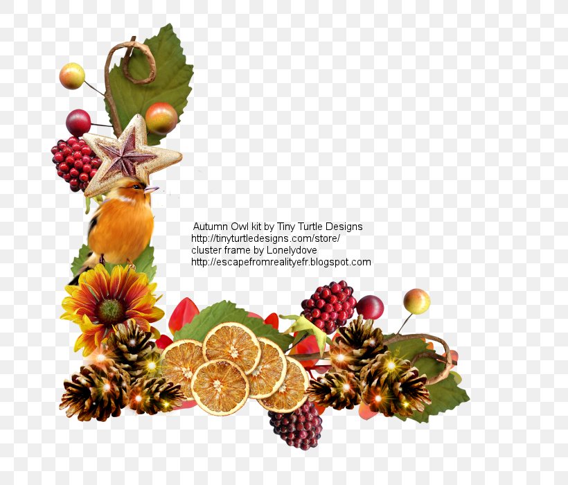 Christmas Ornament Superfood Christmas Day Fruit, PNG, 700x700px, Christmas Ornament, Christmas Day, Christmas Decoration, Food, Fruit Download Free