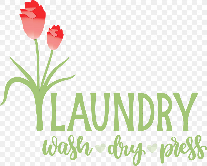 Floral Design, PNG, 3000x2407px, Laundry, Biology, Dry, Floral Design, Flower Download Free