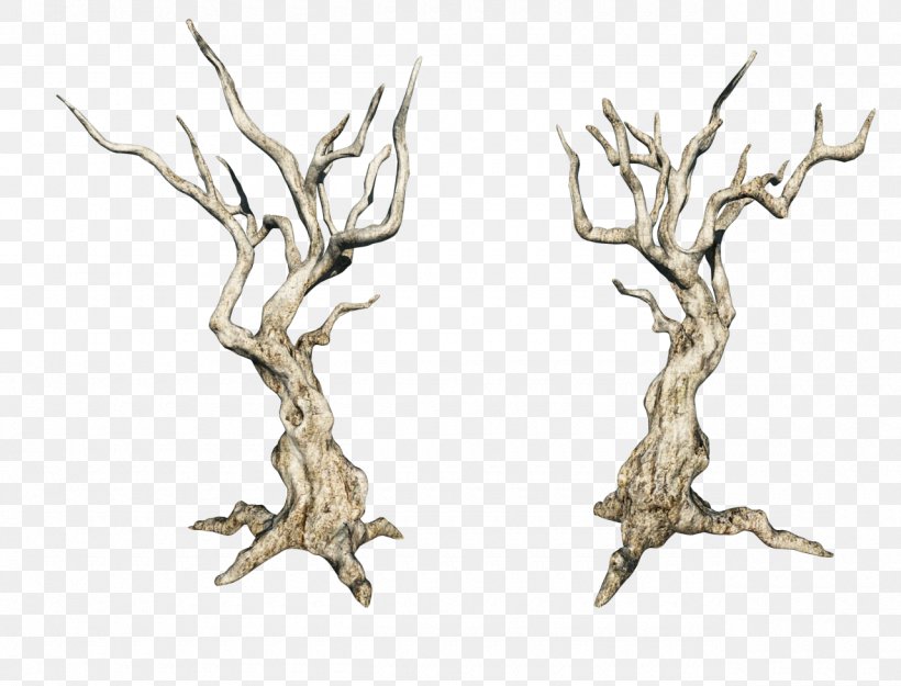 Photography Yandex Clip Art, PNG, 1280x977px, Photography, Antler, Branch, Deer, Tree Download Free