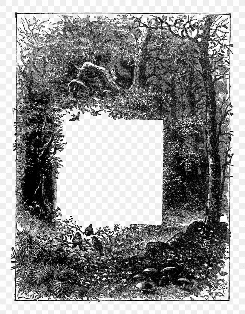 Picture Frames Digital Stamp Postage Stamps Rubber Stamp, PNG, 1246x1600px, Picture Frames, Arch, Black And White, Branch, Color Download Free
