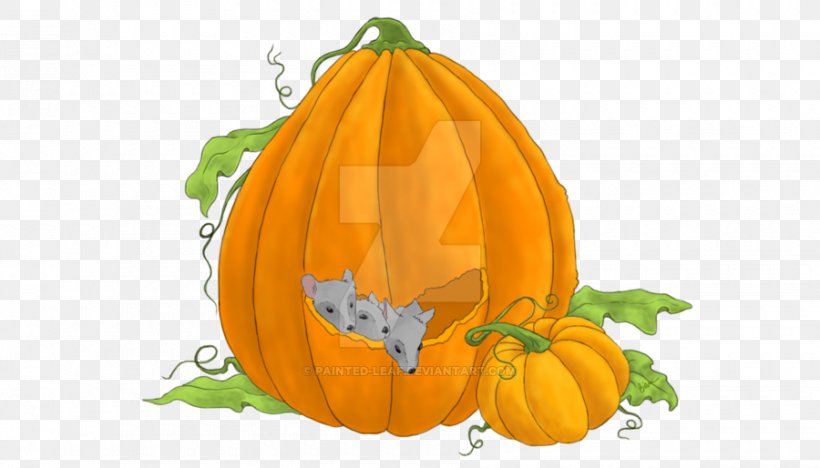 Pumpkin Calabaza Winter Squash Gourd Vegetarian Cuisine, PNG, 900x514px, Pumpkin, Calabaza, Commodity, Cucumber Gourd And Melon Family, Cucurbita Download Free