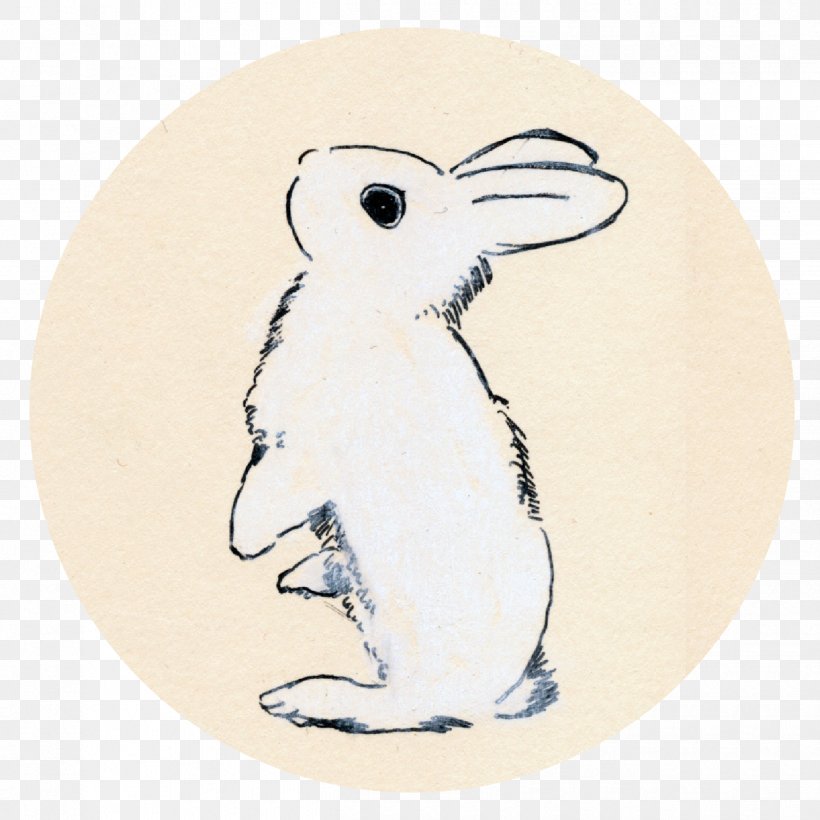 Rabbit Cartoon, PNG, 1250x1250px, Drawing, Cartoon, Chalk, Hare, Pen Download Free