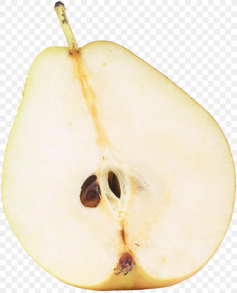 Birnen, Bohnen Und Speck Seed Williams Pear Fruit, PNG, 968x1200px, Seed, Bosc Pear, Cultivar, European Pear, Food Download Free