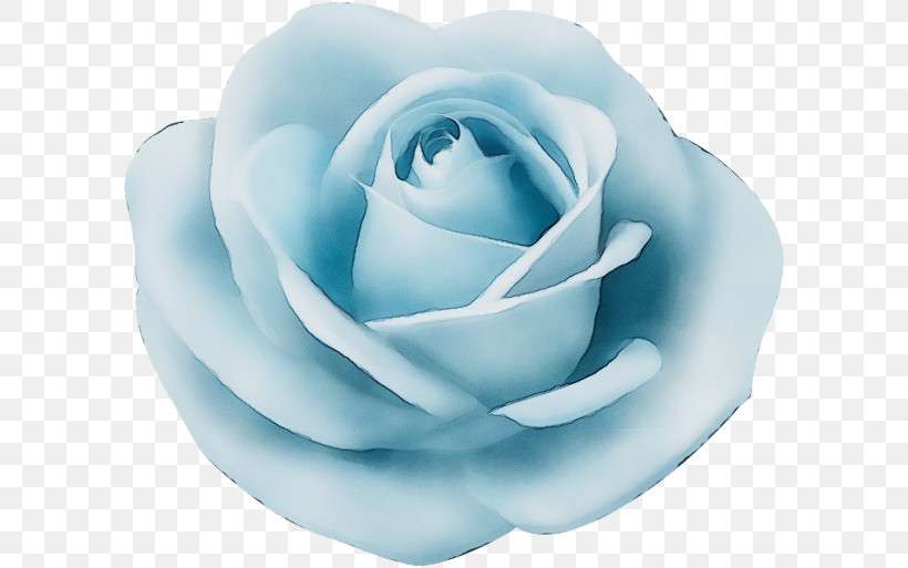 Garden Roses, PNG, 600x513px, Watercolor, Blossom, Blue, Cabbage Rose, Cut Flowers Download Free