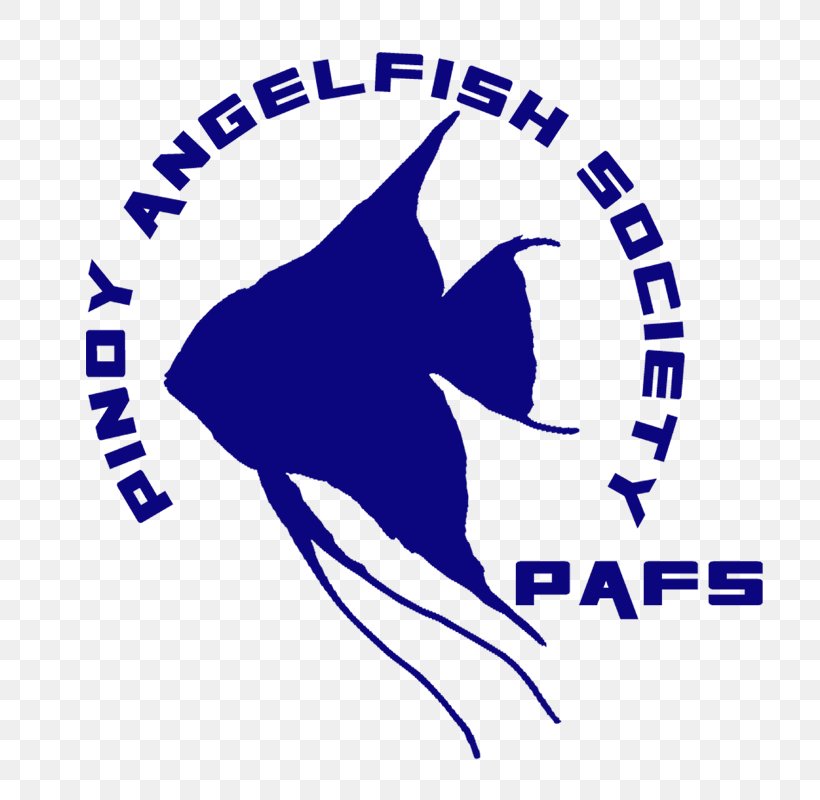 Pinoy Freshwater Angelfish Philippines Logo Fin, PNG, 800x800px, Pinoy, Angelfish, Area, Artwork, Bermuda Blue Angelfish Download Free