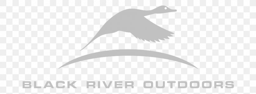 Beak Goose Water Bird Cygnini Duck, PNG, 960x356px, Beak, Bird, Black, Black And White, Brand Download Free